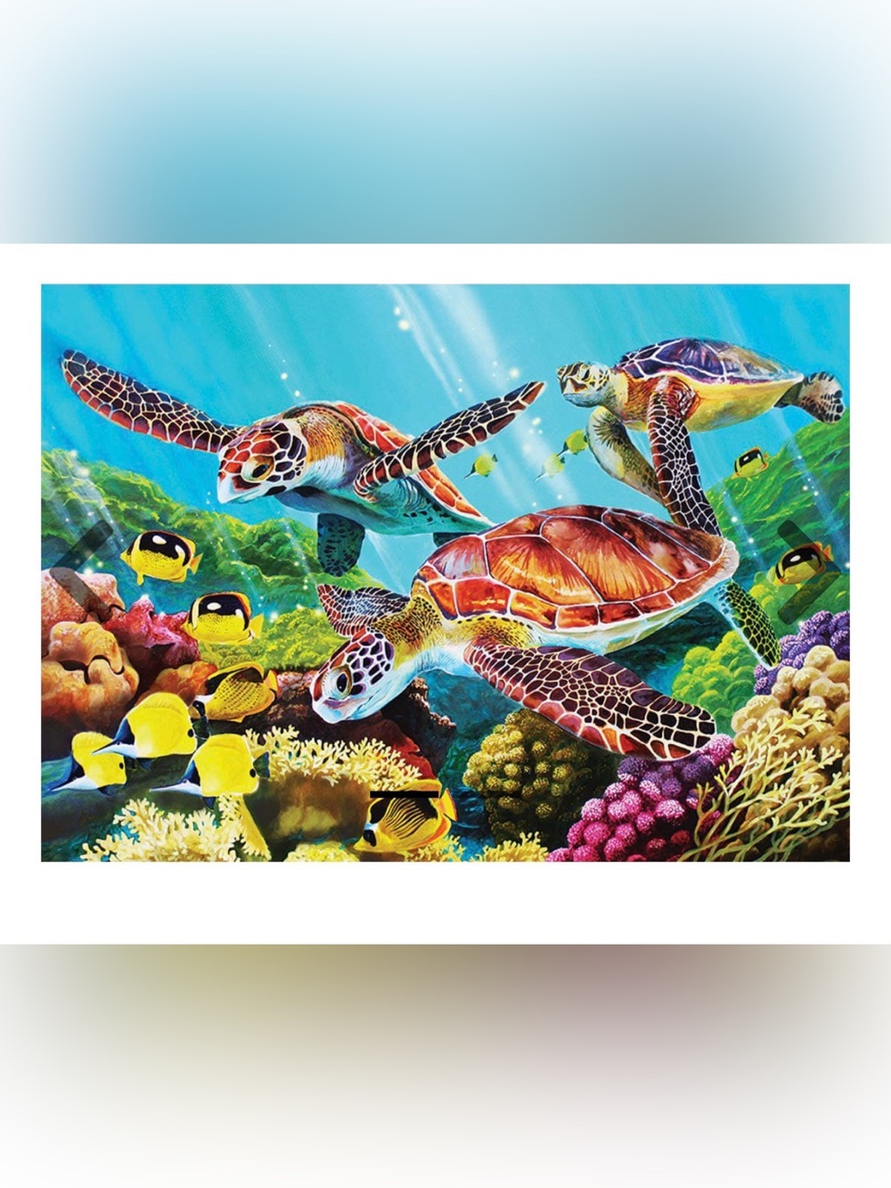 Molokini Sea- 35 Piece Jigsaw Puzzle NWOT